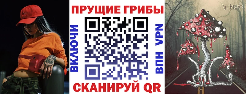 Купить закладки  Унеча  Псилоцибиновые грибы мицелий 